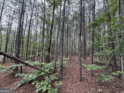 0 Natures Walk Dr, Rome, GA 30165