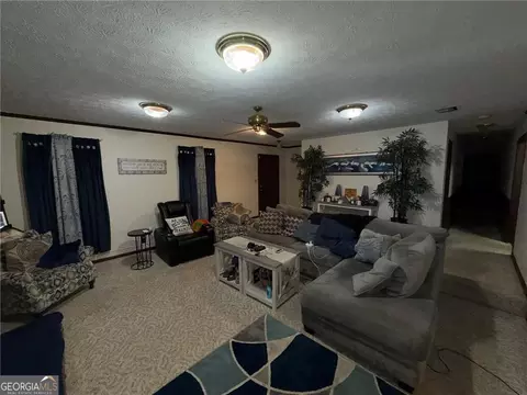 Living - 217 Babbs Mill Rd, Hampton, GA 30228 photo 2 of 2