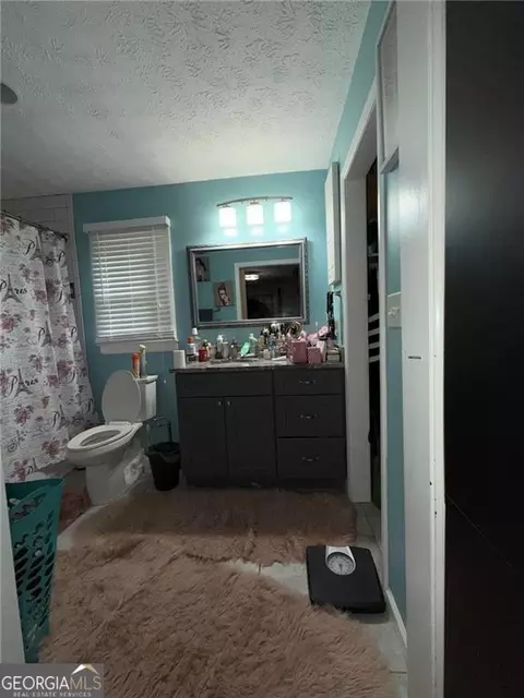 Bath - 217 Babbs Mill Rd, Hampton, GA 30228 photo 3 of 5