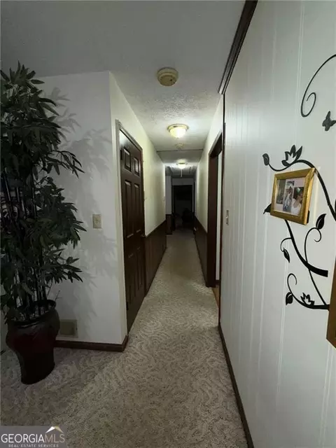 Entry Way - 217 Babbs Mill Rd, Hampton, GA 30228 photo 1 of 1
