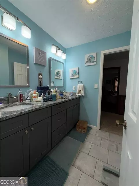 Bath - 217 Babbs Mill Rd, Hampton, GA 30228 photo 5 of 5