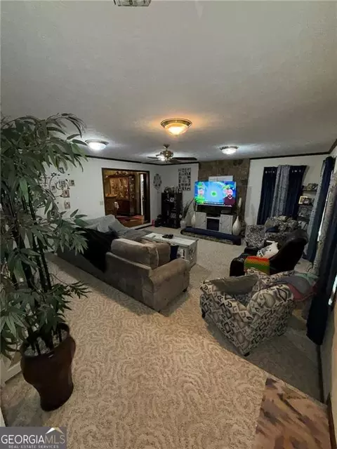 Living - 217 Babbs Mill Rd, Hampton, GA 30228 photo 1 of 2