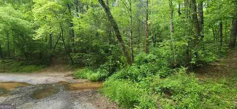 13 Ac Goose Island Rd, Ellijay, GA 30540