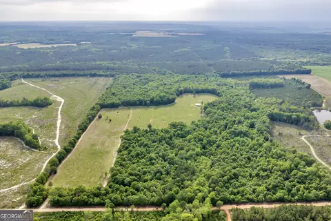 Other - 203 Gas Line Rd, Cuthbert, GA 39840 photo 22 of 64