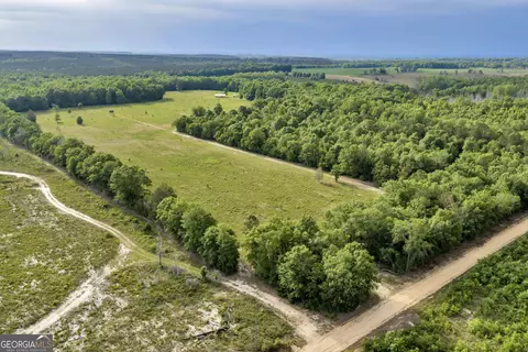 Other - 203 Gas Line Rd, Cuthbert, GA 39840 photo 19 of 64