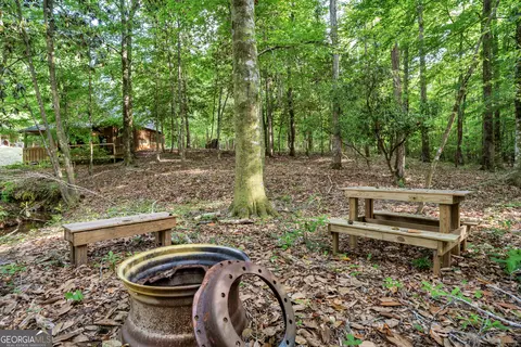 Exterior - 203 Gas Line Rd, Cuthbert, GA 39840 photo 15 of 22