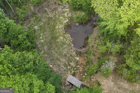 View/Area - 203 Gas Line Rd, Cuthbert, GA 39840 photo 1 of 4