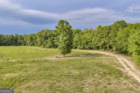 Other - 203 Gas Line Rd, Cuthbert, GA 39840 photo 31 of 64