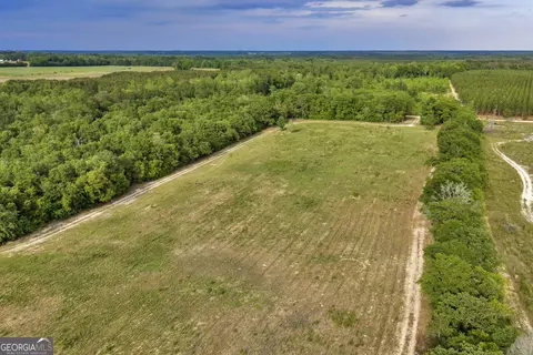 Other - 203 Gas Line Rd, Cuthbert, GA 39840 photo 16 of 64