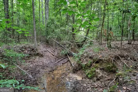 Other - 203 Gas Line Rd, Cuthbert, GA 39840 photo 61 of 64