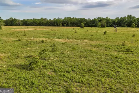 Other - 203 Gas Line Rd, Cuthbert, GA 39840 photo 33 of 64