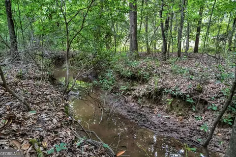 Other - 203 Gas Line Rd, Cuthbert, GA 39840 photo 60 of 64