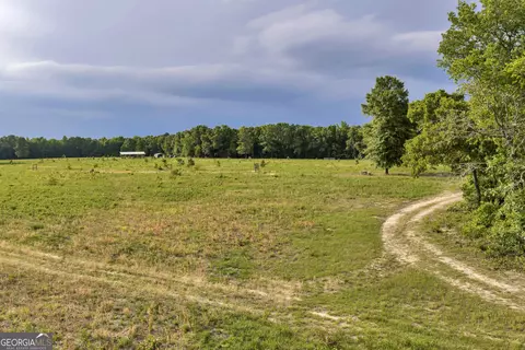 Other - 203 Gas Line Rd, Cuthbert, GA 39840 photo 28 of 64