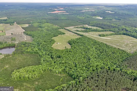 Other - 203 Gas Line Rd, Cuthbert, GA 39840 photo 8 of 64