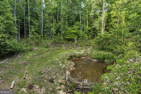 Other - 203 Gas Line Rd, Cuthbert, GA 39840 photo 4 of 64