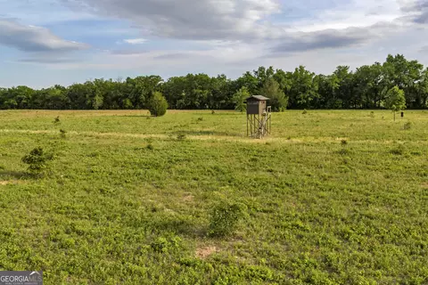 Other - 203 Gas Line Rd, Cuthbert, GA 39840 photo 34 of 64