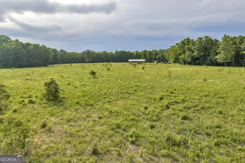 Other - 203 Gas Line Rd, Cuthbert, GA 39840 photo 32 of 64