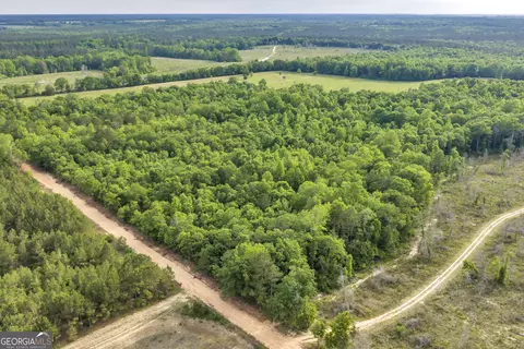 Other - 203 Gas Line Rd, Cuthbert, GA 39840 photo 20 of 64