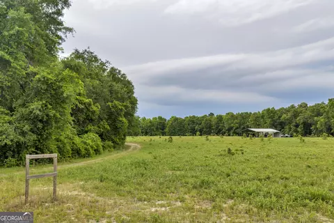 Other - 203 Gas Line Rd, Cuthbert, GA 39840 photo 40 of 64