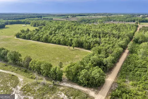 Other - 203 Gas Line Rd, Cuthbert, GA 39840 photo 18 of 64