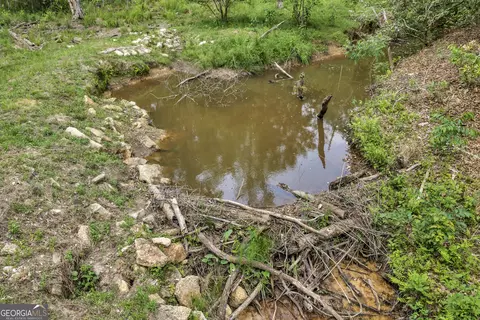 Other - 203 Gas Line Rd, Cuthbert, GA 39840 photo 5 of 64