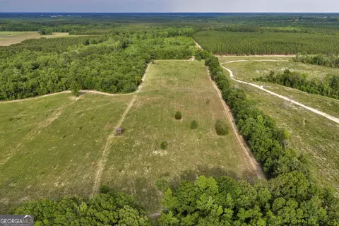 Other - 203 Gas Line Rd, Cuthbert, GA 39840 photo 15 of 64