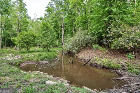 Other - 203 Gas Line Rd, Cuthbert, GA 39840 photo 56 of 64