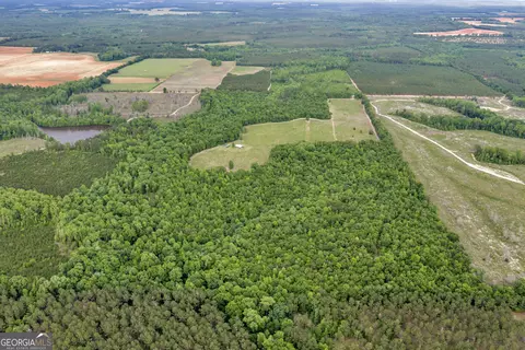 Other - 203 Gas Line Rd, Cuthbert, GA 39840 photo 6 of 64