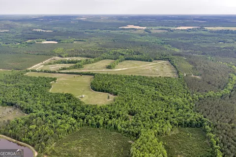 Other - 203 Gas Line Rd, Cuthbert, GA 39840 photo 9 of 64