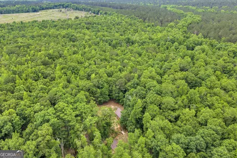 Other - 203 Gas Line Rd, Cuthbert, GA 39840 photo 47 of 64