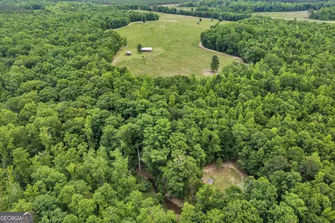 Other - 203 Gas Line Rd, Cuthbert, GA 39840 photo 48 of 64