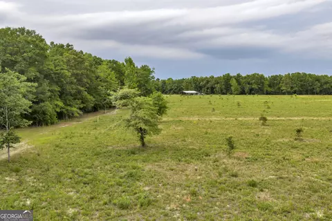 Other - 203 Gas Line Rd, Cuthbert, GA 39840 photo 41 of 64