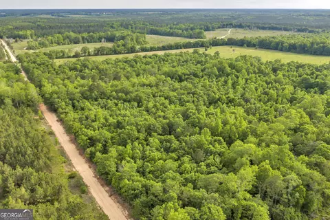 Other - 203 Gas Line Rd, Cuthbert, GA 39840 photo 21 of 64