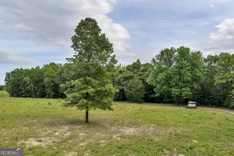 Other - 203 Gas Line Rd, Cuthbert, GA 39840 photo 37 of 64