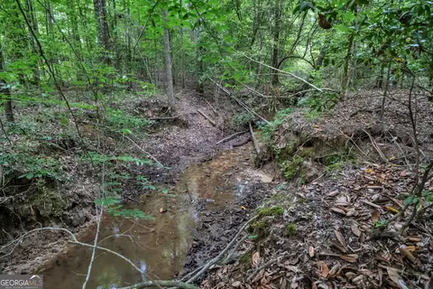 Other - 203 Gas Line Rd, Cuthbert, GA 39840 photo 59 of 64
