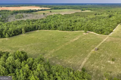 Other - 203 Gas Line Rd, Cuthbert, GA 39840 photo 14 of 64
