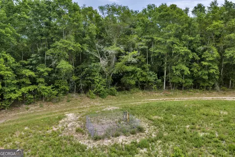 Other - 203 Gas Line Rd, Cuthbert, GA 39840 photo 46 of 64