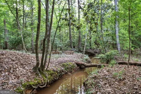 Other - 203 Gas Line Rd, Cuthbert, GA 39840 photo 57 of 64
