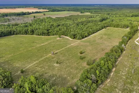 Other - 203 Gas Line Rd, Cuthbert, GA 39840 photo 13 of 64