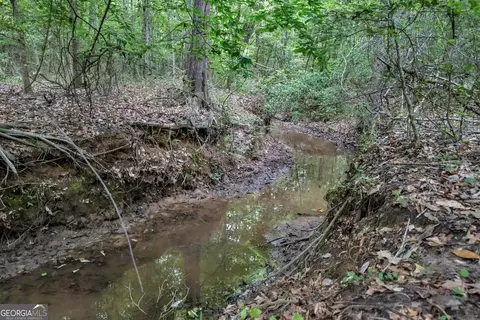 Other - 203 Gas Line Rd, Cuthbert, GA 39840 photo 64 of 64