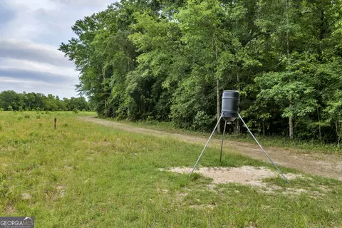 Other - 203 Gas Line Rd, Cuthbert, GA 39840 photo 39 of 64