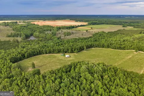 View/Area - 203 Gas Line Rd, Cuthbert, GA 39840 photo 3 of 4