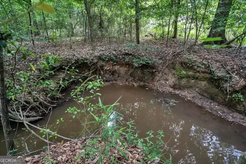Other - 203 Gas Line Rd, Cuthbert, GA 39840 photo 63 of 64