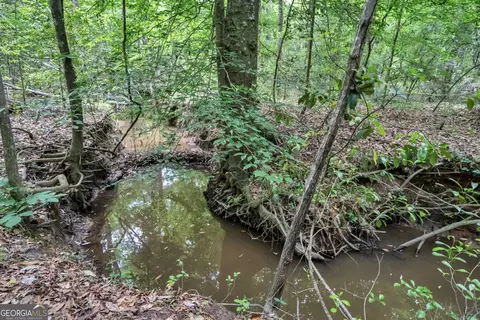 Other - 203 Gas Line Rd, Cuthbert, GA 39840 photo 62 of 64