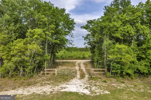 Other - 203 Gas Line Rd, Cuthbert, GA 39840 photo 26 of 64