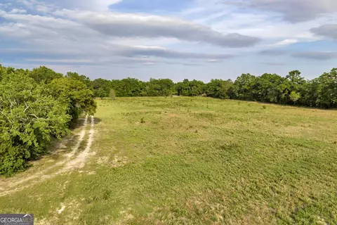 Other - 203 Gas Line Rd, Cuthbert, GA 39840 photo 30 of 64