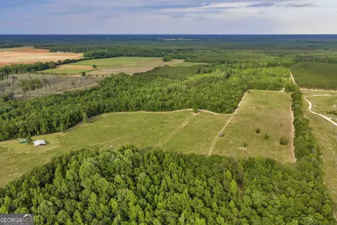 Other - 203 Gas Line Rd, Cuthbert, GA 39840 photo 12 of 64