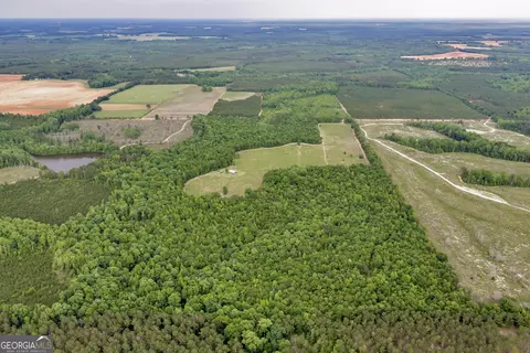 Other - 203 Gas Line Rd, Cuthbert, GA 39840 photo 7 of 64