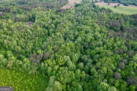 0 Hemphill Rd, Griffin, GA 30224 photo 3
