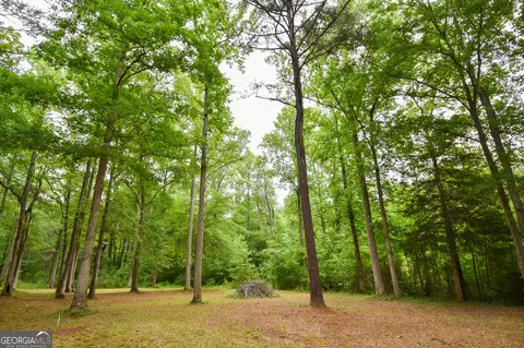0 Hemphill Rd, Griffin, GA 30224 photo 17